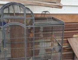 steel bird cage for sale