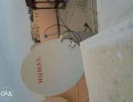 Dish fitting new fix receives