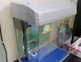 Fish Tank for sale with filter