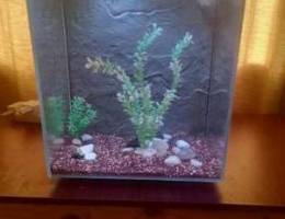 Small fish tank