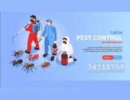 Pest control services(Advanced)