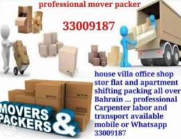 We will provide easy professional mover pa...
