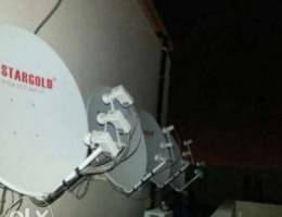 Dish fixing for arabic