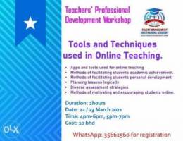 Teachersâ€™ Professional Development Worksho...
