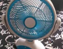 Portable Fan