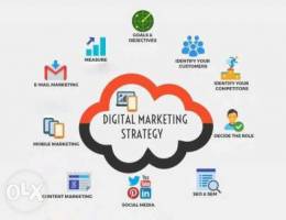 Digital Marketing and Web & Software Devel...