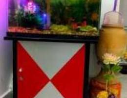 Beautiful fish tank with full set and tabl...