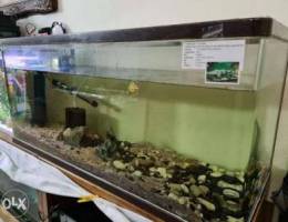 1.2 Meter (120cm) fish tank with sand, fil...