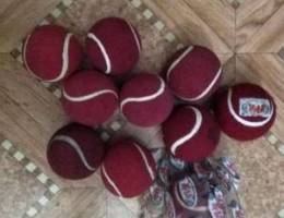 Hard cricket ball