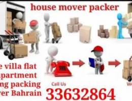 We provide professional mover packer servi...