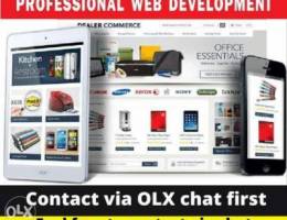 E-commerce Website design and development ...