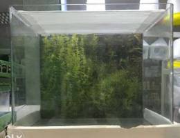 New aquarium for sale 10 bd