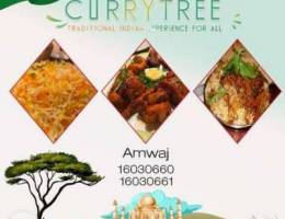 Curry Tree