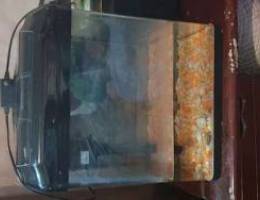 Fish aquarium with all accessories