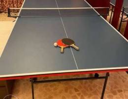 Table Tennis Table - Foldable