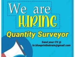 Quantity Surveyor