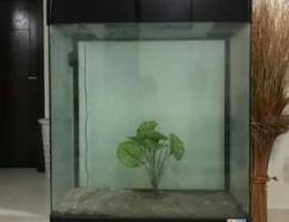 Large Aquarium