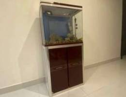 aquarium for sale