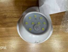 Motion sensor light