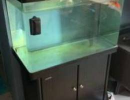 fish tank - Ø­ÙˆØ¶ Ø§Ø³Ù…Ø§Ùƒ