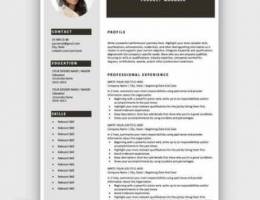 Free Professional CV