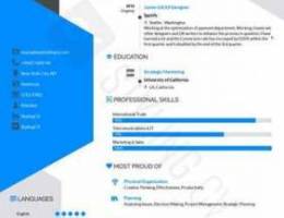 Professional CV/Resume starting at just BD...