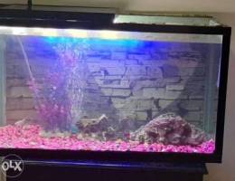 Fish tank for sale