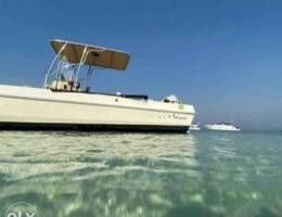 22ft Bay boat (Al shaali- shark)