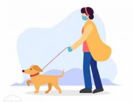 dog walker