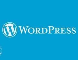 we design your wordpress website