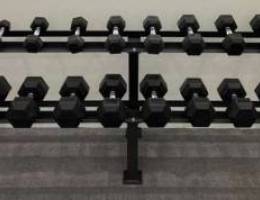 for sale dumbbells with rach