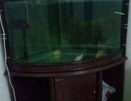 Two tank for sale