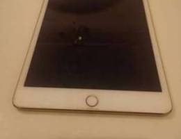 iPad mini 4