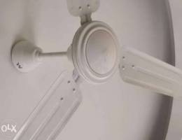 RR India Ceiling fan for sale - each 4 bd ...