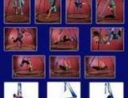 for sale omni gym swings . 3 swings Ù„Ù„Ø¨ÙŠØ¹ ...