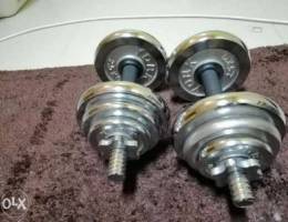 Dumbbell 20 kg