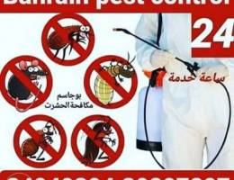 Bahrain pest control