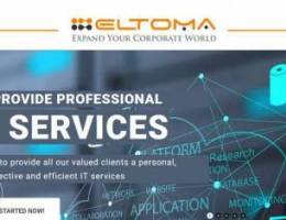 Professional IT Services & Solutions