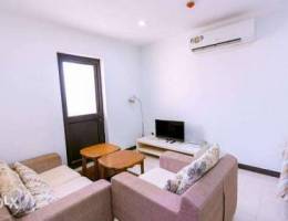 Brand new 1 BHK apartment near Exhibition ...