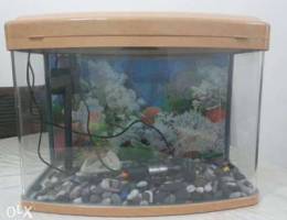 Fish Tank / Aquarium with accessories ( wi...