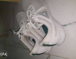 Reebok shoes orignal