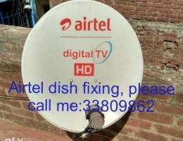 Dish fixing