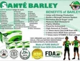 Pure Organic Sante Barley