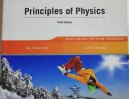 Principles of physics 10th edition wiley