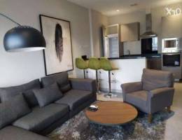 1 BHK apartment - Fully furnished & Inclus...