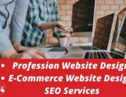 Professional website design and developmen...