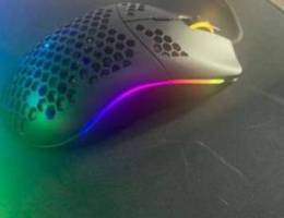 glorious mouse