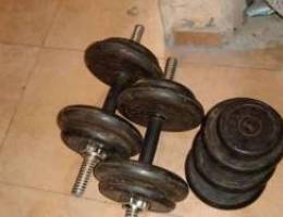 25 kg Dumbbells