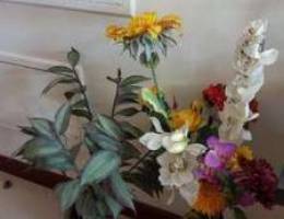 Vases & Artifical Flowers / Plant / Painti...