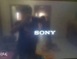 Sony bravo EX31 32 inch